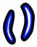 Image of the occurrence
